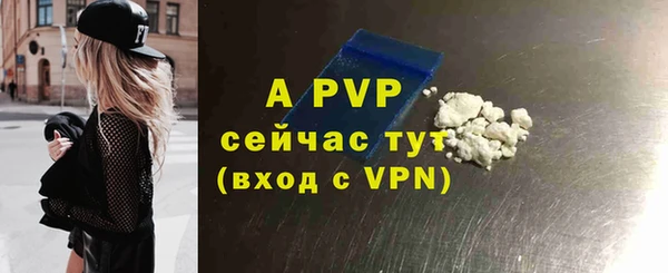 МДПВ Бородино
