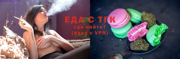 МДПВ Бородино
