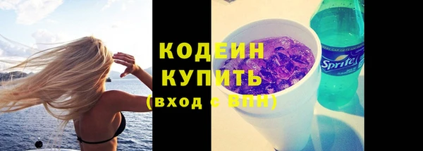 крисы Бронницы