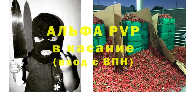 МДПВ Бородино