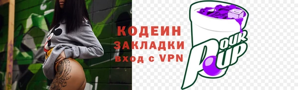 МДПВ Бородино