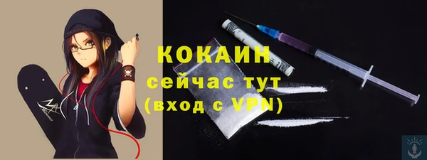 МДПВ Бородино