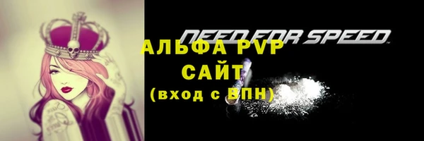 молекула духа Верея
