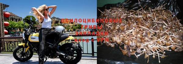 крисы Бронницы