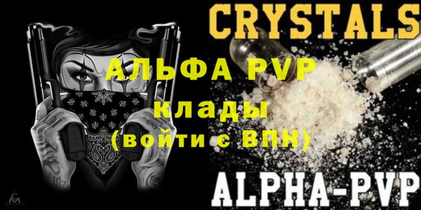 МДПВ Бородино