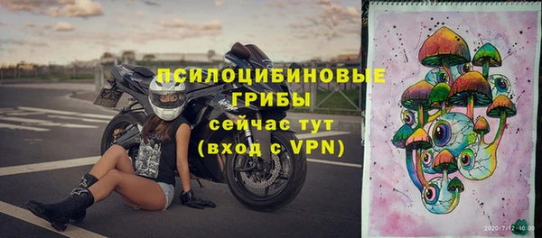 МДПВ Бородино