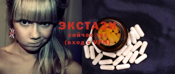 МДПВ Бородино