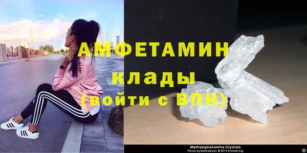 крисы Бронницы