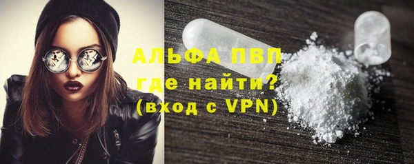 МДПВ Бородино