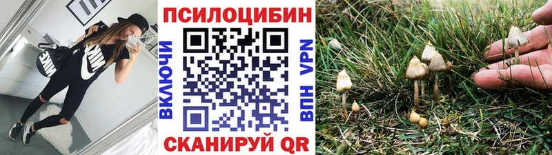Псилоцибиновые грибы Cubensis Купить Оханск